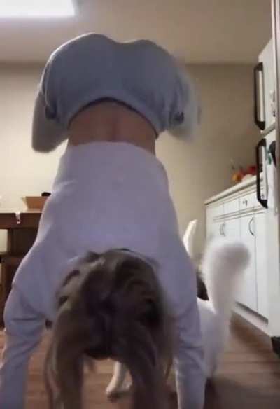 Wait for it....