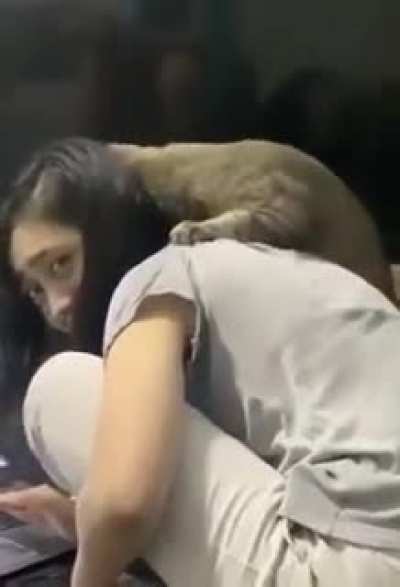 This damn cat