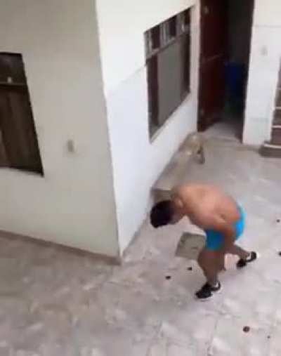 Get this cameraman an Oscar