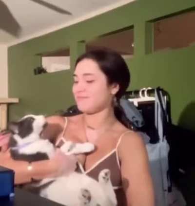 Copy cat