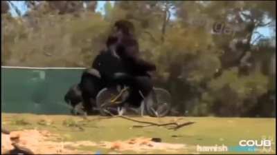 F***** bike