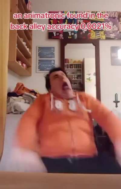 An animatronic found in dia qbvodmdneojglaldkdnak