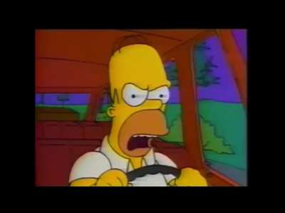 homer2