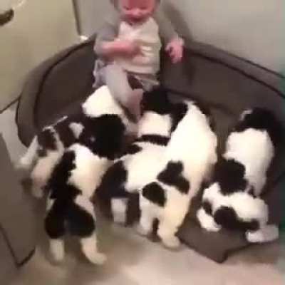 A joyful day