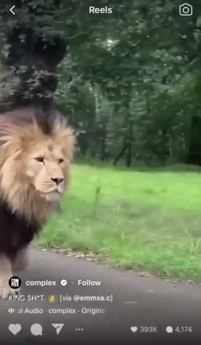 He is very big!!