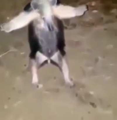 Not sure if this has been posted but bro squared up
