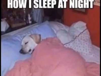 Shhhhhh he’s sleeping
