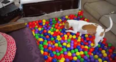 HMK While I Play With My Ball