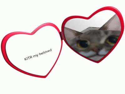 Words can't express how much I love KITR.