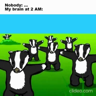 Badgers badgers badgers