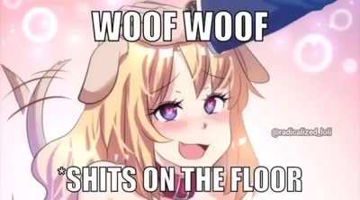 🐶 💩