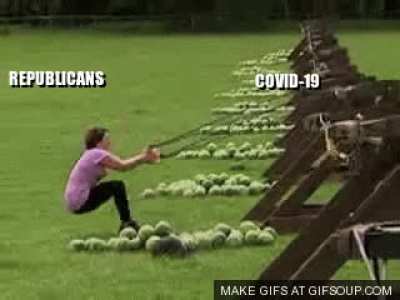 Republicans: 