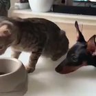fine, you can have one...