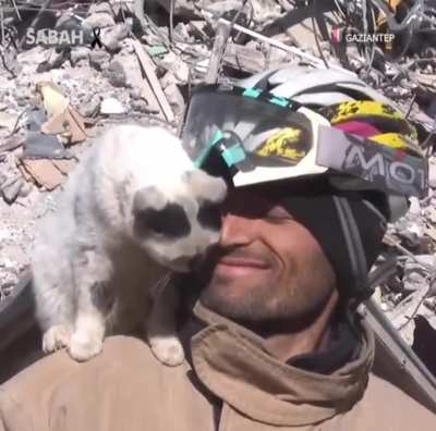 Firefighter saved this cat from underneath rubble after the eartquake and now the cat refuses to leave his side