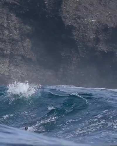 Extreme Sports: Sea lions playing in huge waves near Santa Barbara Island