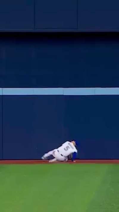 Catching a baseball backhandedly (source link in description)
