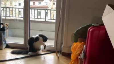 touch tha sticky