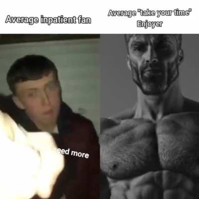 Average fan vs average enjoyer