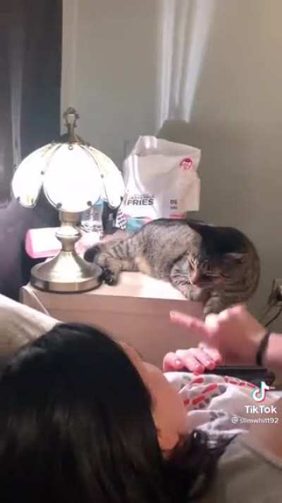 The cat is conduit, anyone have an explanation?