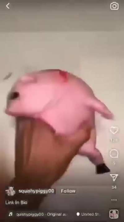 piggy