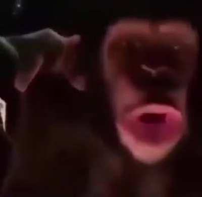 OOOO OOOO OOO OOOO OOOOO OOOO OOOOOOO OOOOO WHOOAAA WHOAOA OOAAAAAAA
