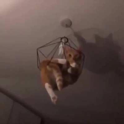 How