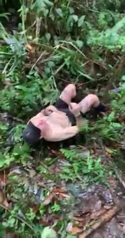 Attempting to swing on a vine