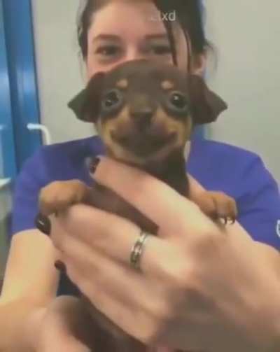 passando só pra deixar o grupo feliz