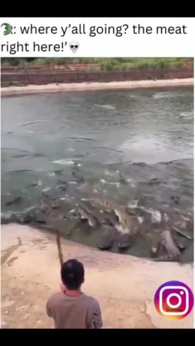 boink