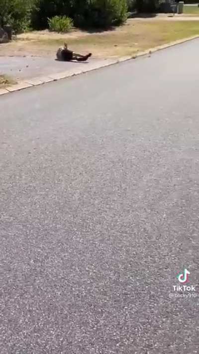 Run Forrest run!