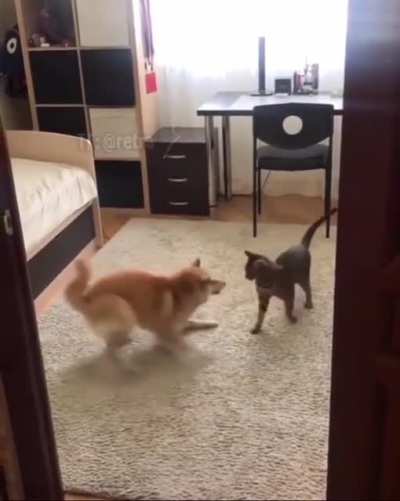 Will you stay still for a sec?