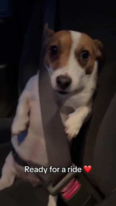 Fofo