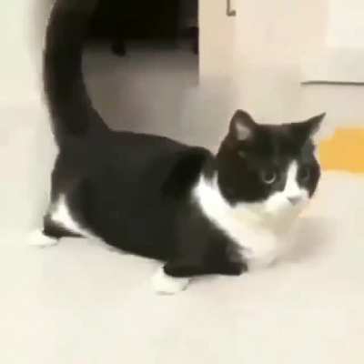 tutu turururur