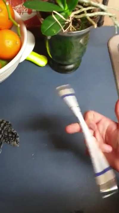 All I can think about doing this trick