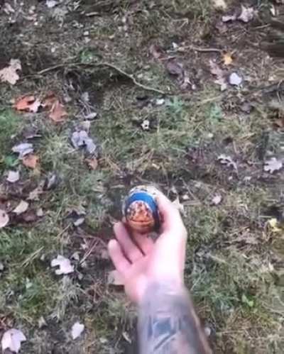 The need for SPEEEEEEEED