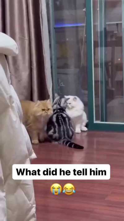 His words are powerful 😹