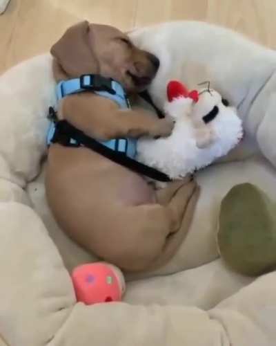 Sweetest dreams