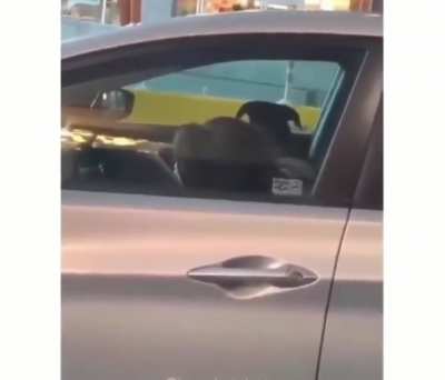 TikTok Renegade
