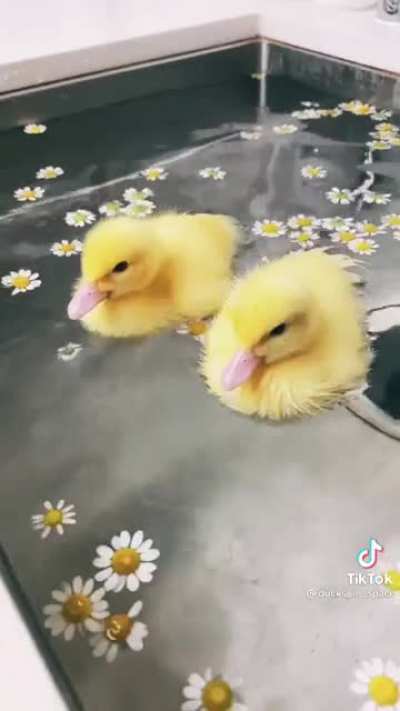 Guys we did it, we entered heaven