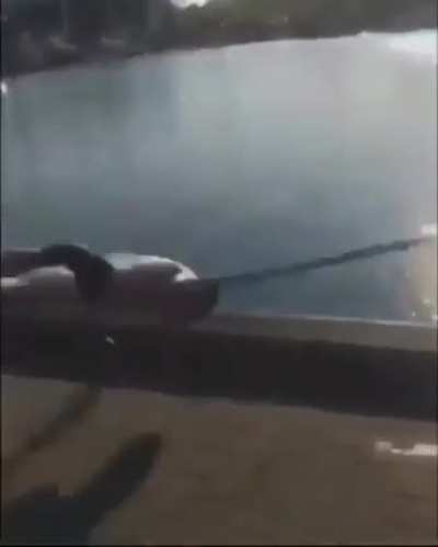 HMB while I go for a quick dip