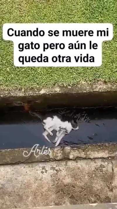 Saludos calvo 🌚