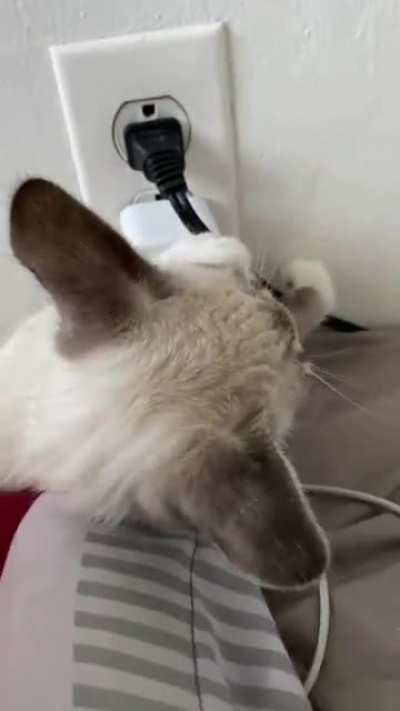 I tried getting a cute video