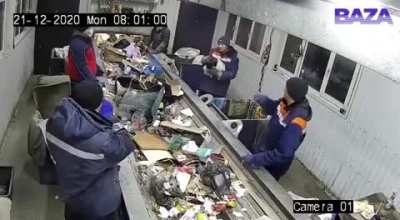 Waste sorting facility worker saves a cat