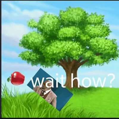 Newton Discovering Gravity