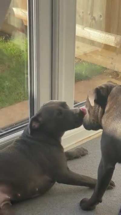kiss me more