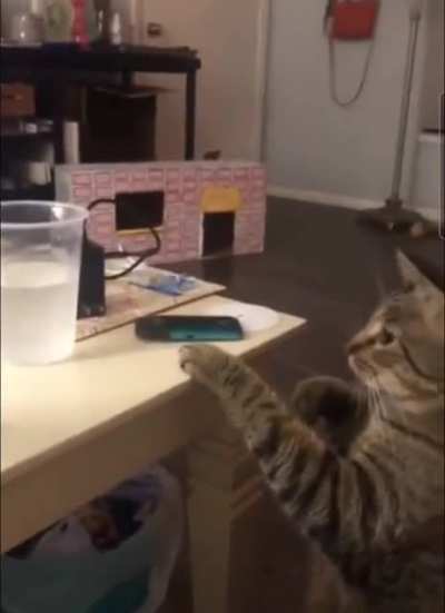 Not the sprite D: