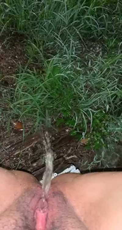 Watering the grass