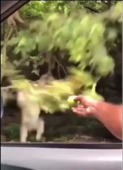 When you fuck up but still trynna act cool