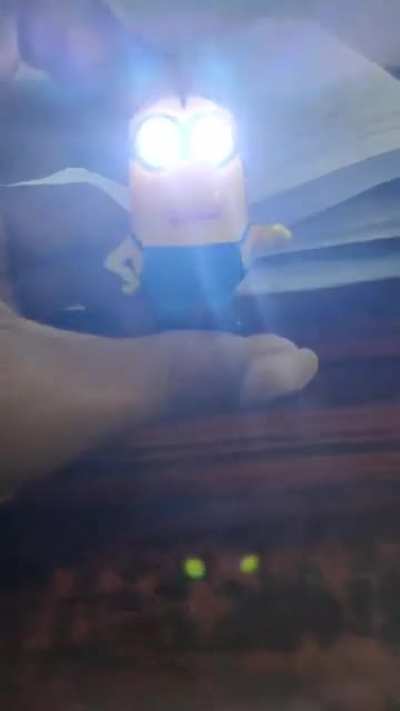 My minion key ring