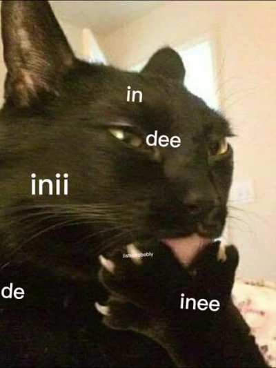 Gato